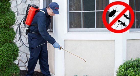 Palu Bit İlaçlama böcek ilaçlama ve haşere kontrolü — ilaclama-tr.com